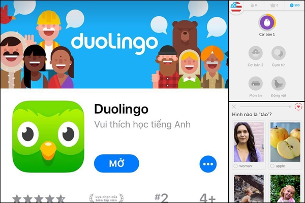 Duolingo là ứng dụng học tiếng Anh Bình Dương trên điện thoại chất lượng cao