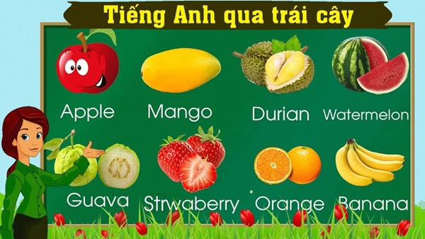 Học tiếng Anh Bình Dương thông qua các loại trái cây giúp bé nhanh nhớ từ vựng