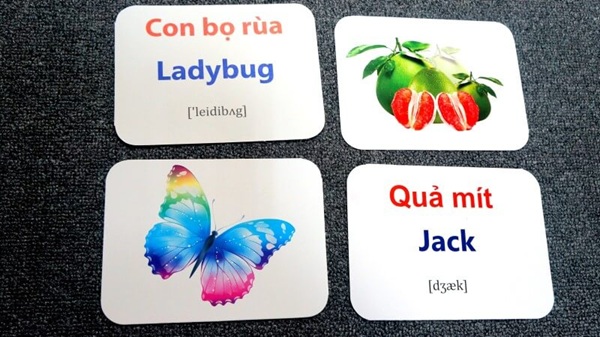 Học từ vựng tiếng Anh bằng flashcard hiệu quả, nhớ lâu