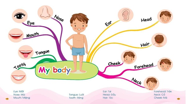 Mẫu sơ đồ tư duy theo chủ đề học tiếng Anh Bình Dương cho trẻ