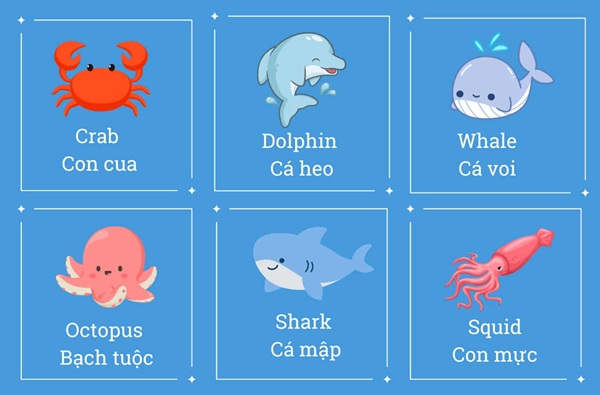 100+ Từ vựng tiếng Anh chủ đề về biển phổ biến nhất| Tiếng Anh trẻ em Bình Dương