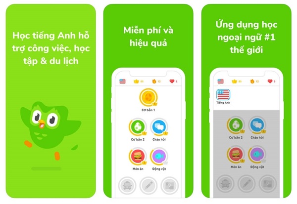 Top 3+ ứng dụng luyện từ vựng trong quá trình học tiếng Anh Bình Dương giúp nhớ lâu